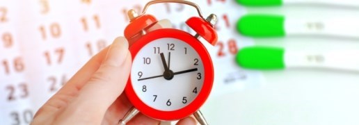 צילום: שאטרסטוק